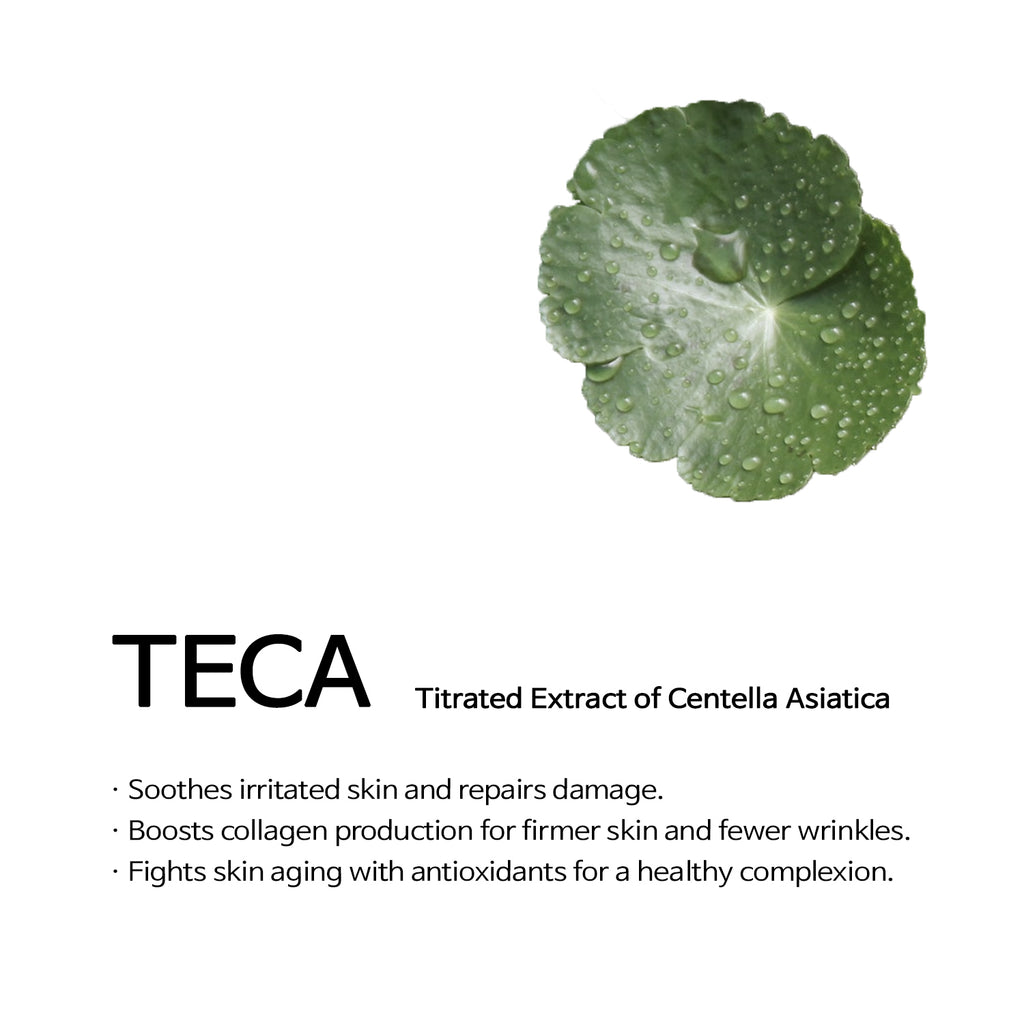 Hyaluronic Acid Centella Toner with Ceramide - Hydrating Facial Toner for Dehydrated Skin - Alcohol-Free Moisturizing Formula 200ml / 6.76 Fl Oz