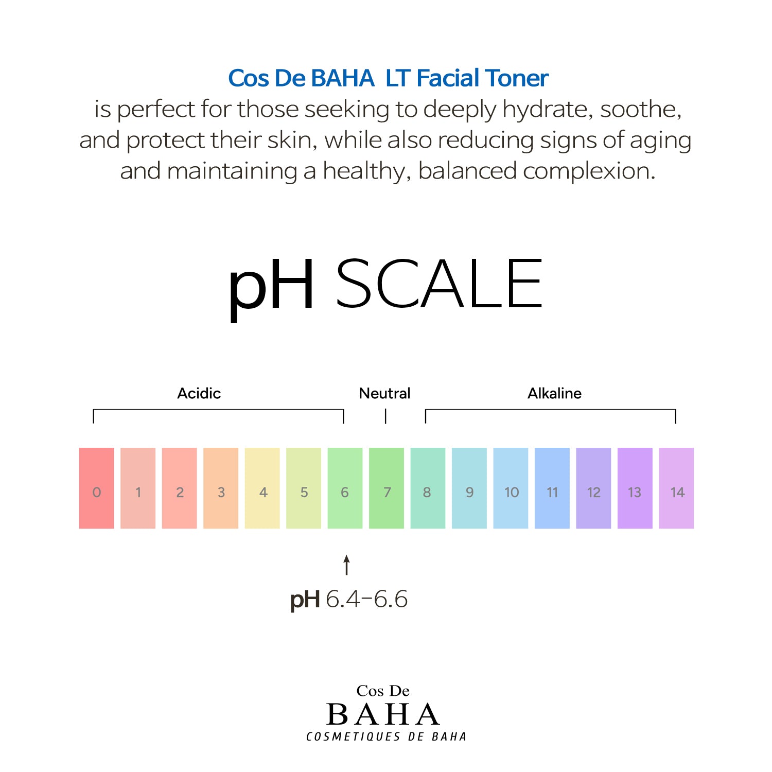 [LT200] Low Molecualr Weight (LMW) Hyaluronic Acid Facial Toner - Hydrating Facial Toner for Dehydrated Skin, Alcohol-Free Moisturizing Formula